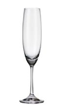 Connoisseur Set of 2 Champagne Flute Glasses 250ml Gift Boxed